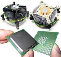 Pentium Dual-Core E2160 1.8 Ghz/1024с/800MHz S775 BOX